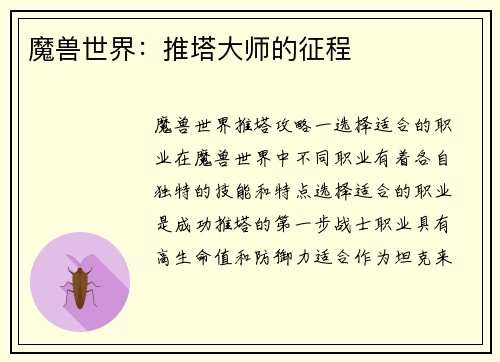 魔兽世界：推塔大师的征程
