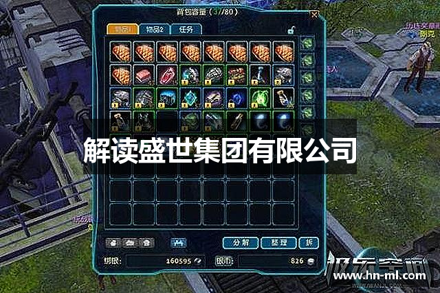 解读盛世集团有限公司