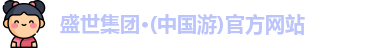 盛世集团有限公司